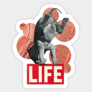 Life Sticker